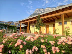 Agriturismo L' Isola di Arturo Trento